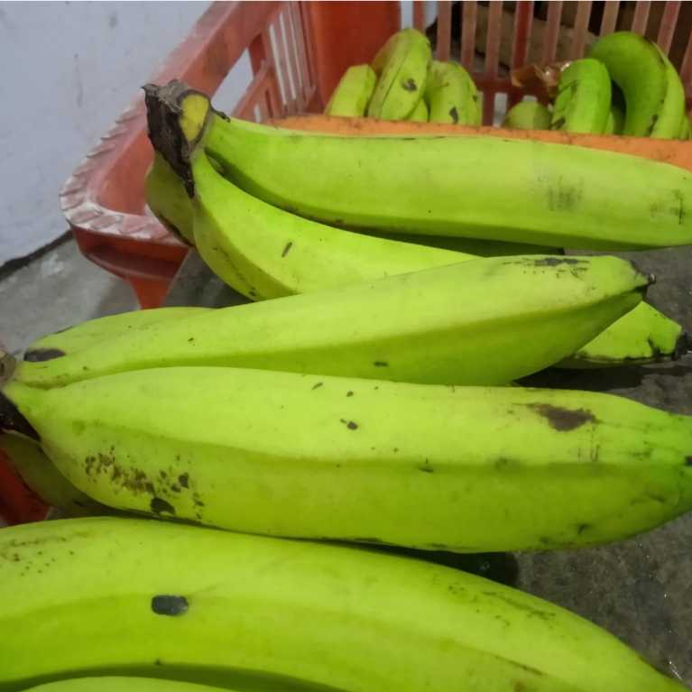 PISANG AMBON KUNING