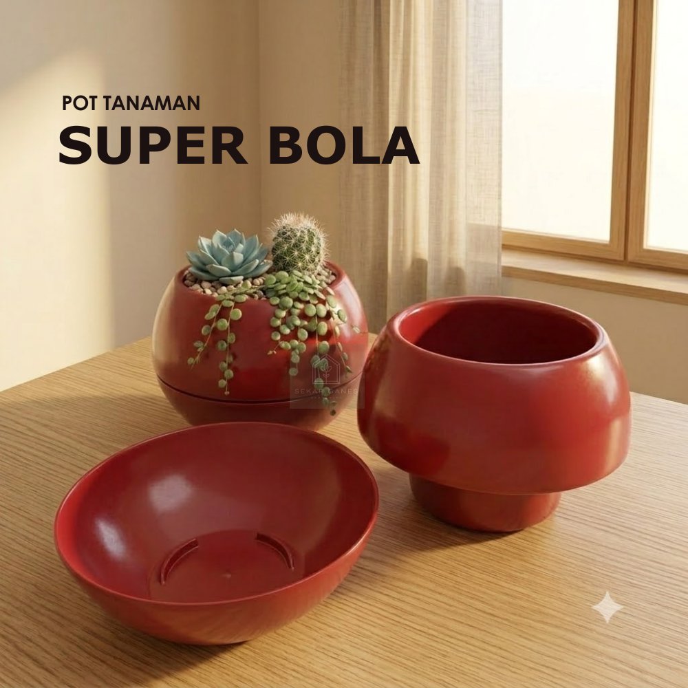 Pot Super Bola Merah Bata Pot Bulat Vienna Merah Bata Coklat Besar Pot Bola Vienna 677 676 Anggrek M