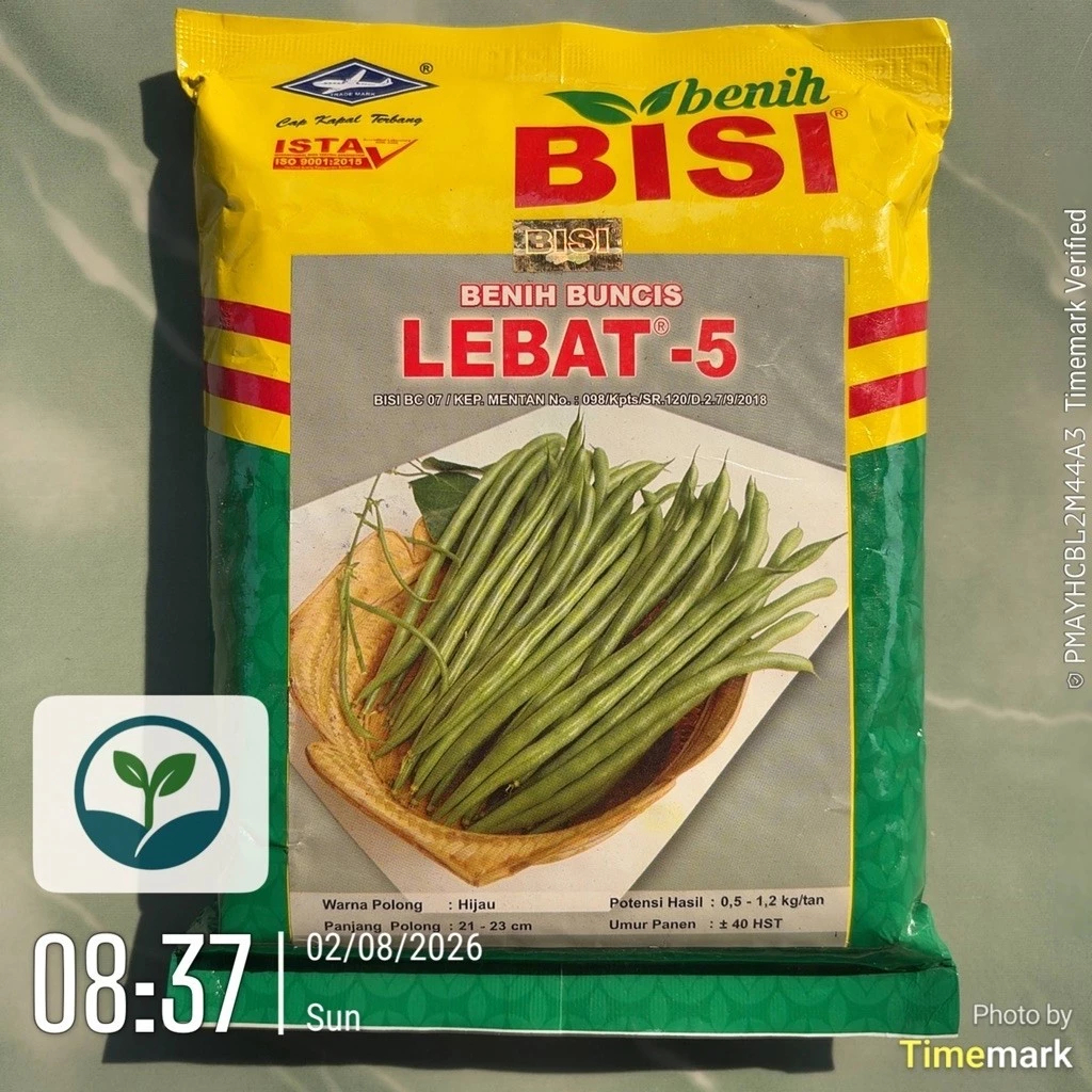 READY Benih Buncis Lebat 5 500 gr - Exp. 2027