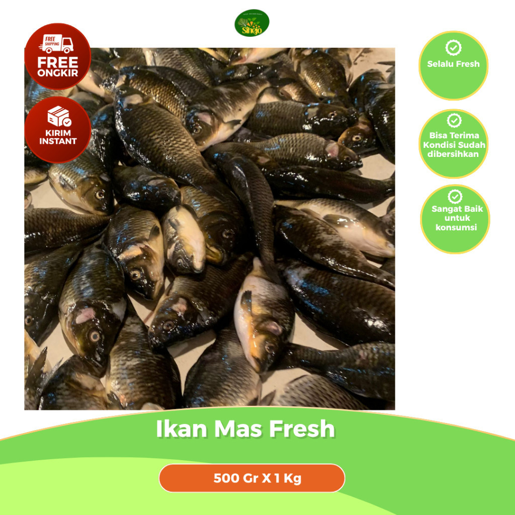 Ikan Mas Segar Bandung