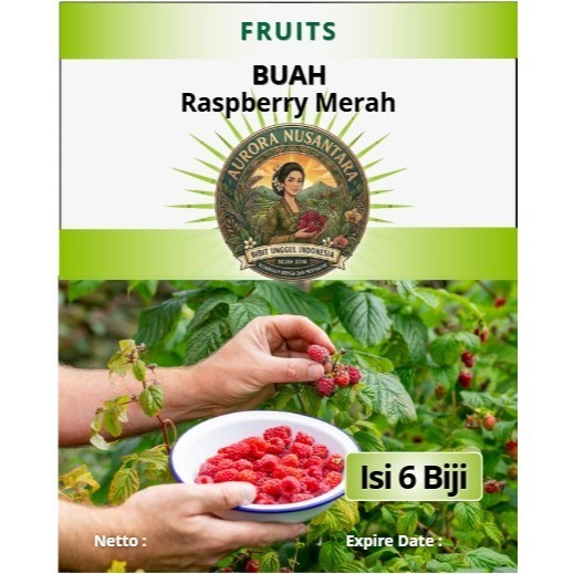 Bibit Unggul Indonesia Buah Raspberry Merah | Biji Benih Buah Raspberry Merah | Buah Raspberry Merah