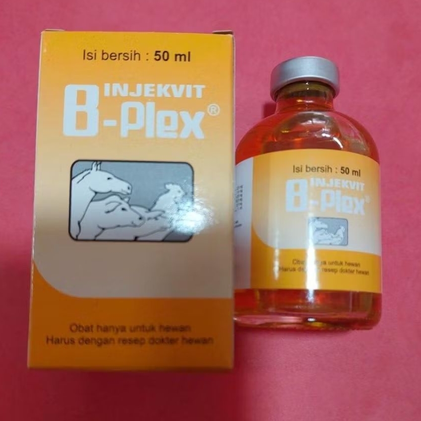 INJEKVIT B-PLEX VITAMIN B KOMPLEK AYAM SAPI KUDA BABI.MERPATI DLL
