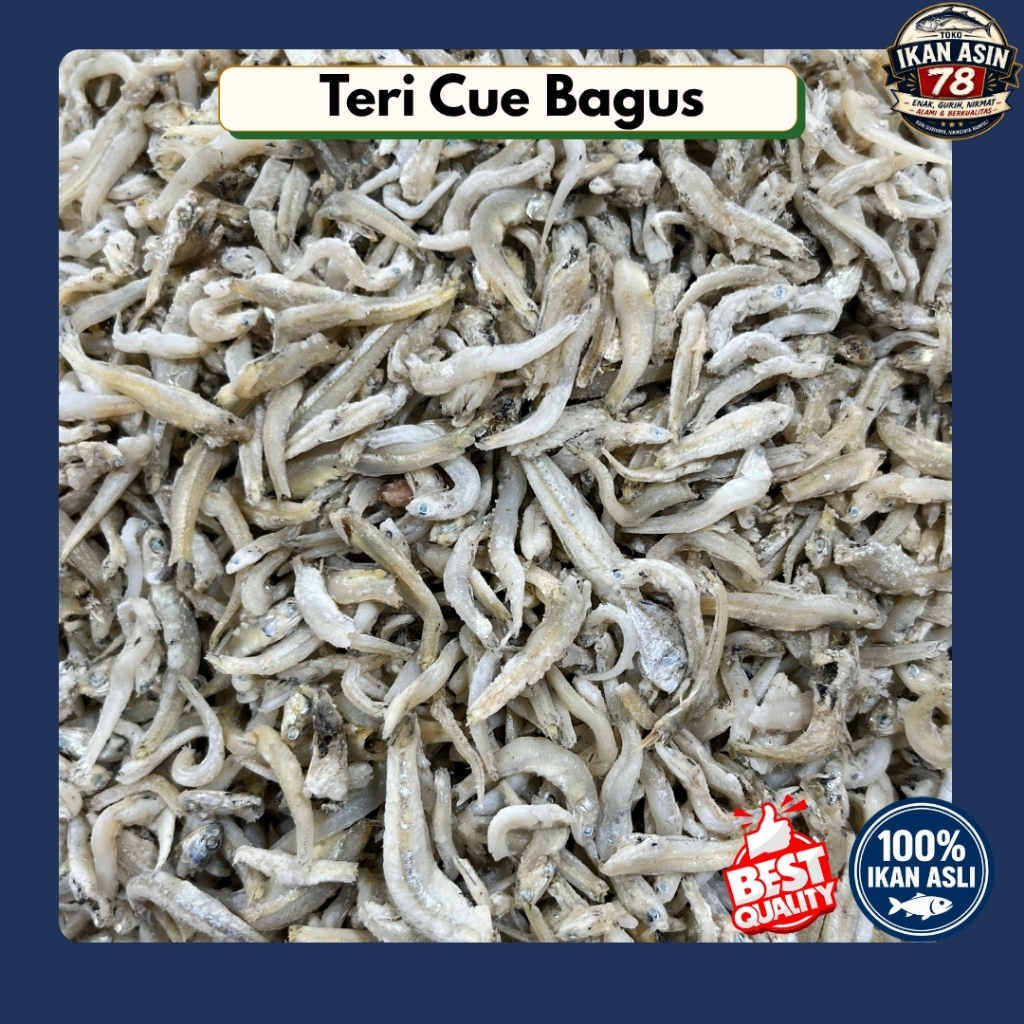 Teri Cue Bagus 250g 500g 1Kg | Ikan Teri Cue Gurih | Teri Asin Kering Pilihan