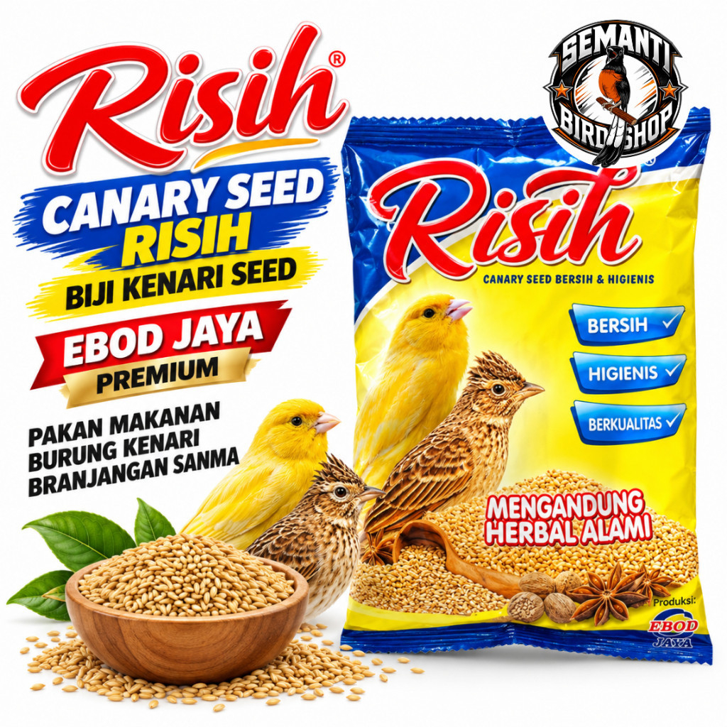 CANARY SEED RISIH BIJI KENARI SEED EBOD JAYA PREMIUM PAKAN MAKANAN BURUNG KENARI BRANJANGAN SANMA