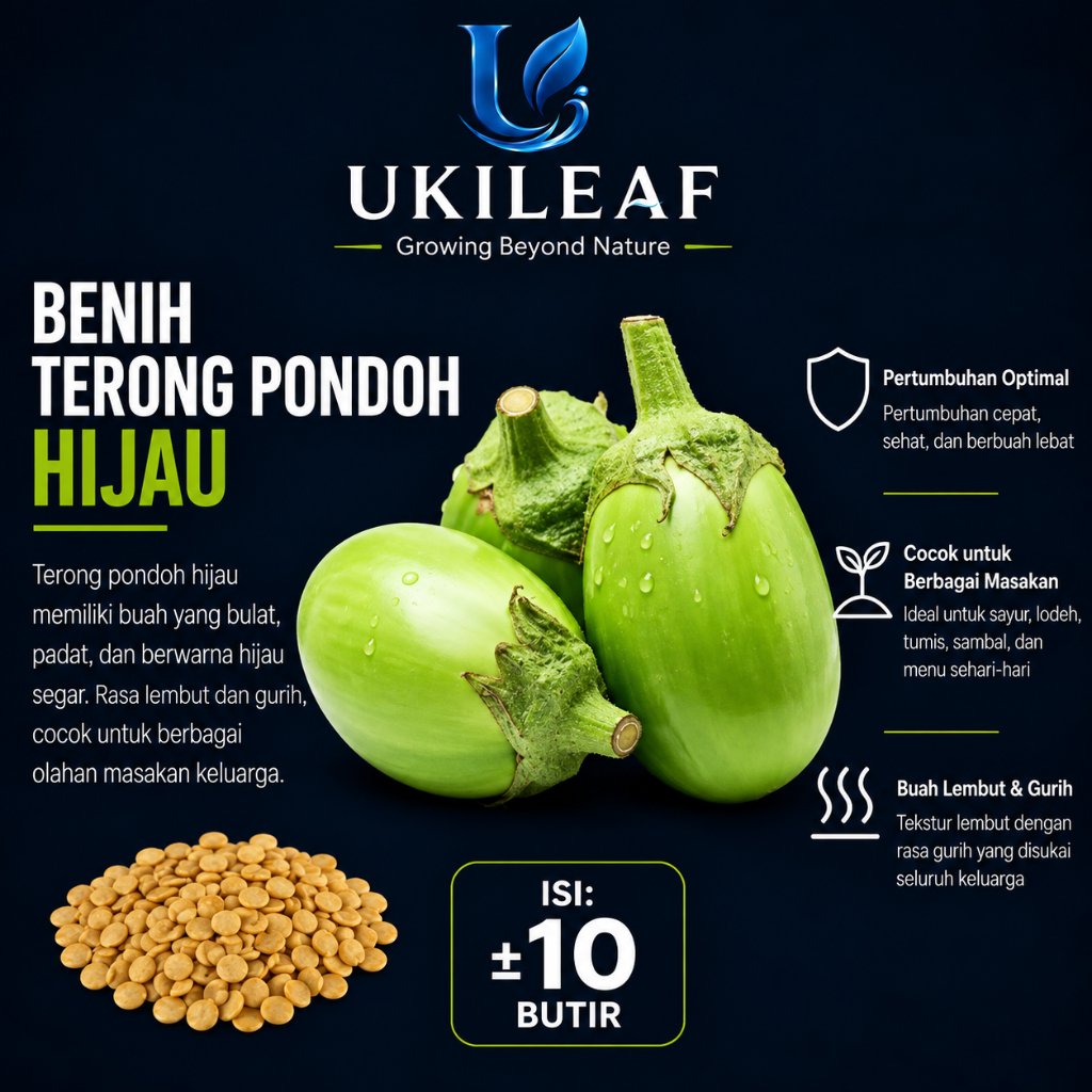 ( 10 Butir ) Benih Biji Terong Pondoh Hijau | Terong Hijau Jumbo Jepang | UKILEAF