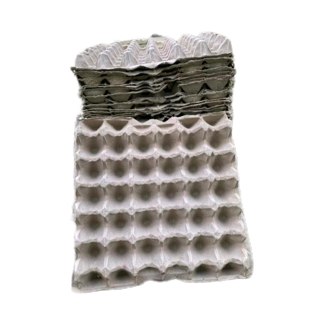 [10PCS]  EGG TRAY  karton ayam / bebek | tray telur MURAH
