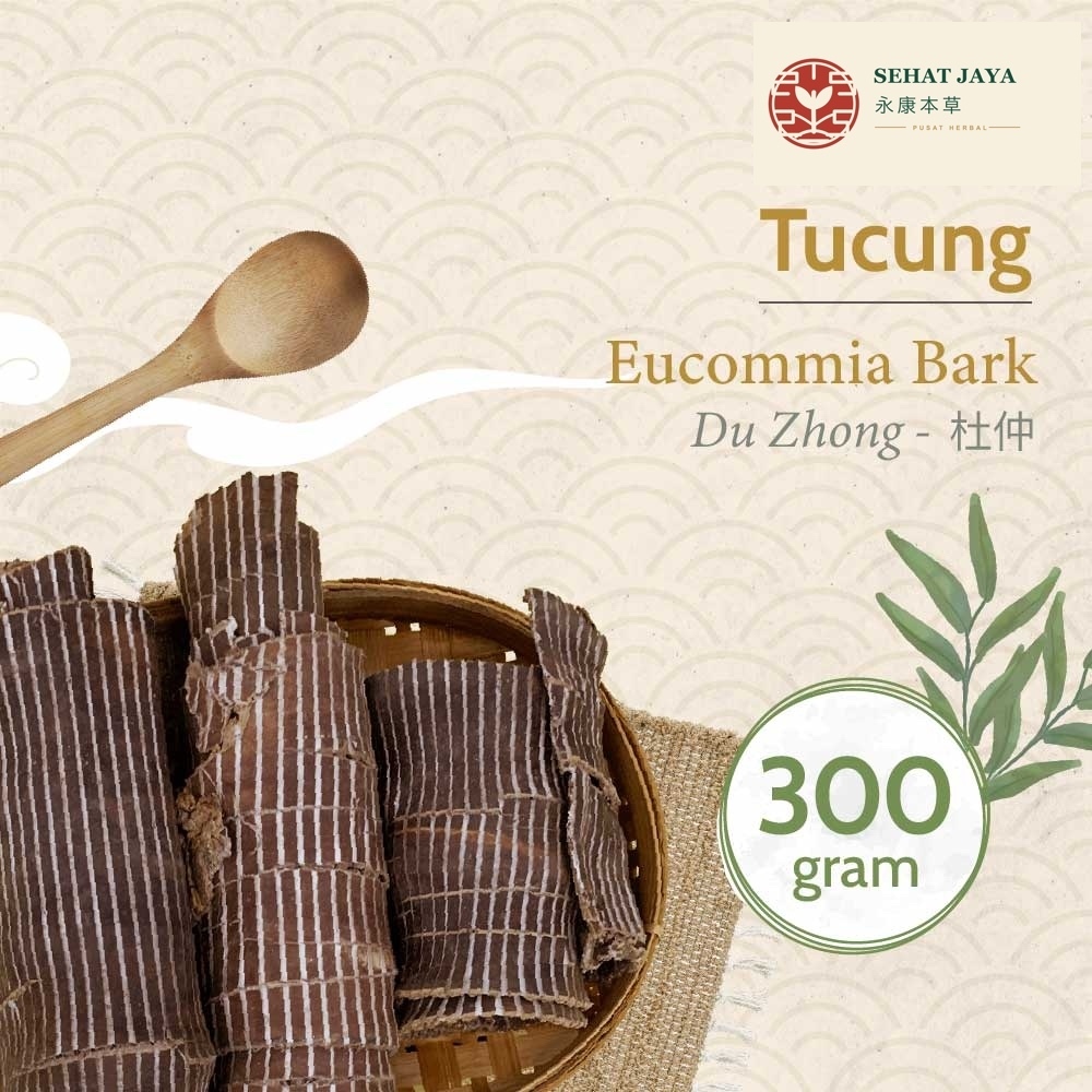 Du Zhong 300 gram  / Eucommia Bark / Tucung