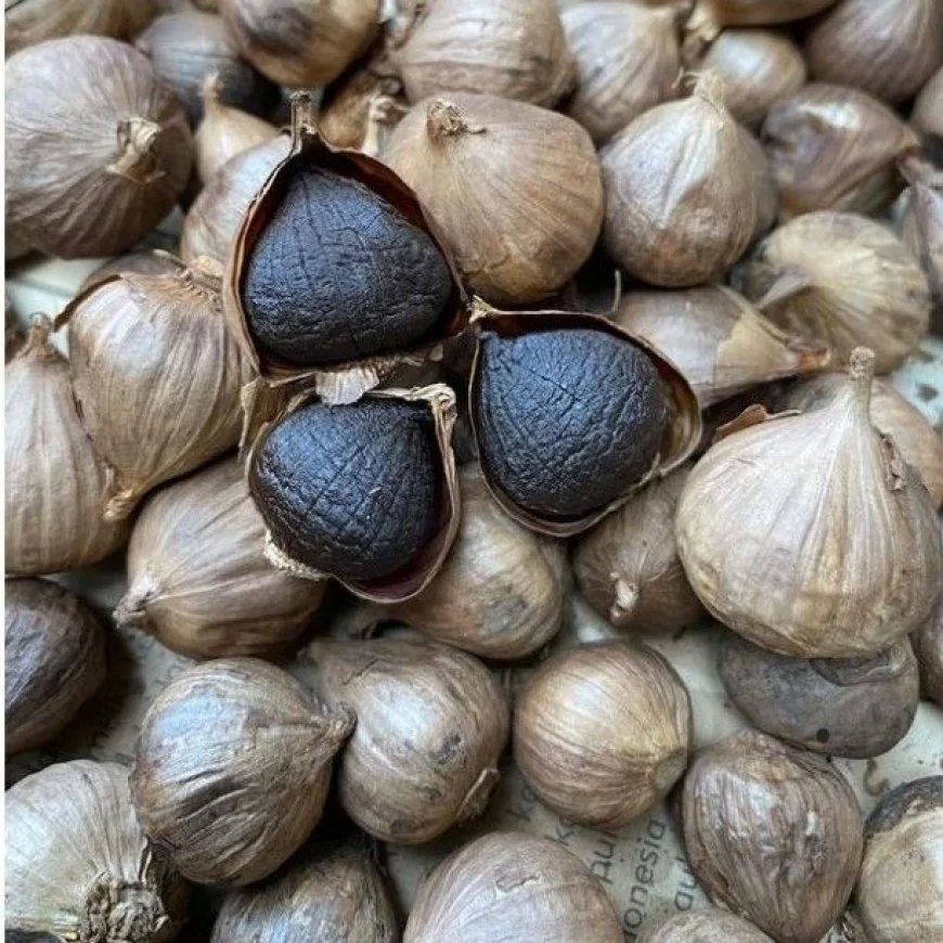 Black Garlic  Bawang Hitam Tunggal  Lanang Black Garlic bawang hitam bawang putih Tunggal lanang kem