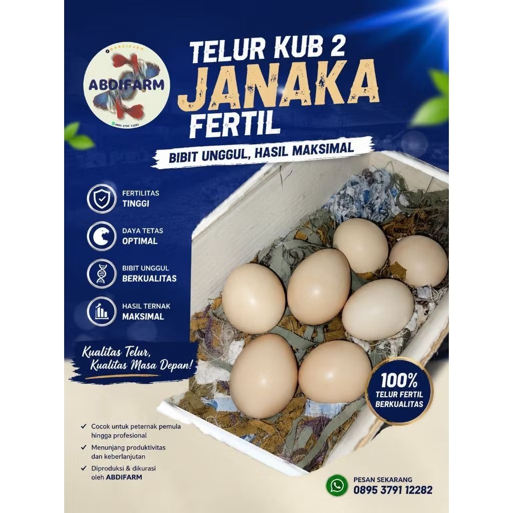 Telur ayam Kampung KUB 2 JANAKA Fertil