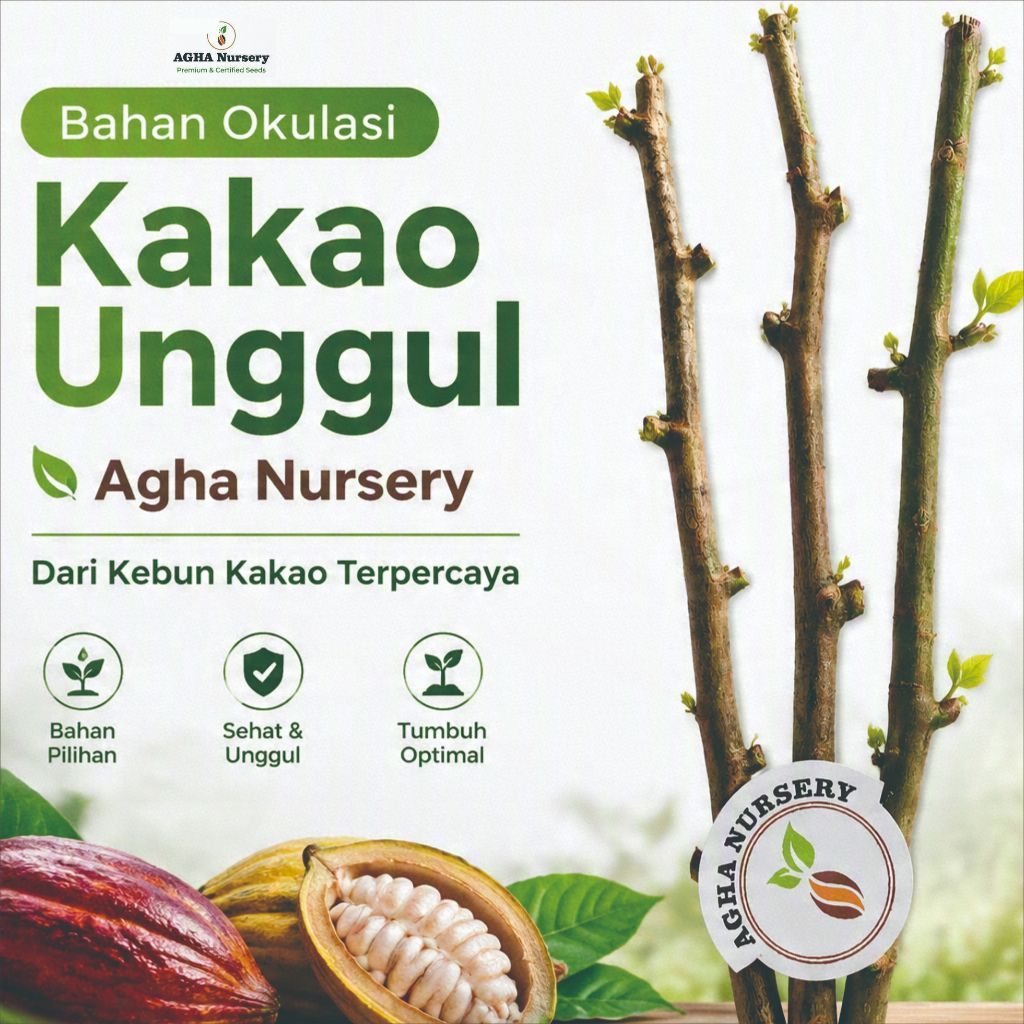Entres Kakao MCC 02 berkualitas