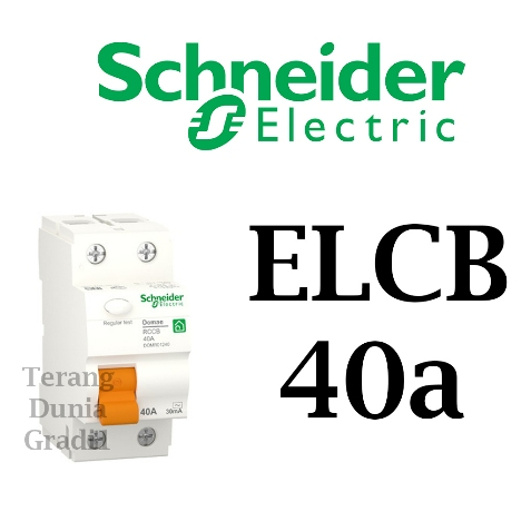 ELCB 40a ELCB Schneider 40a domr01240