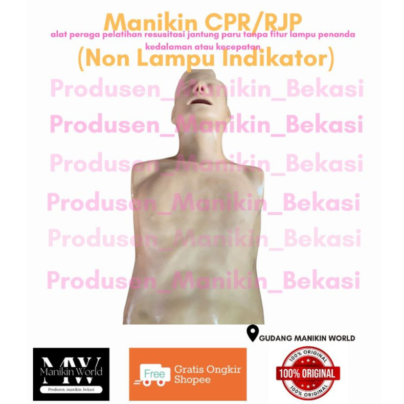 PHANTOM RESUSITASI RJP CPR DEWASA NON INDIKATOR / PHANTOM MANIKIN RESUSITASI RJP CPR DEWASA