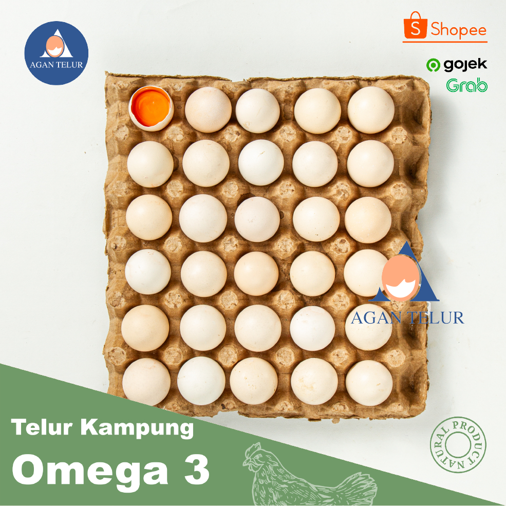 Telur Ayam Kampung Arab Omega 3 Berkualitas tinggi ukuran kecil ISI 30 BUTIR POLOS