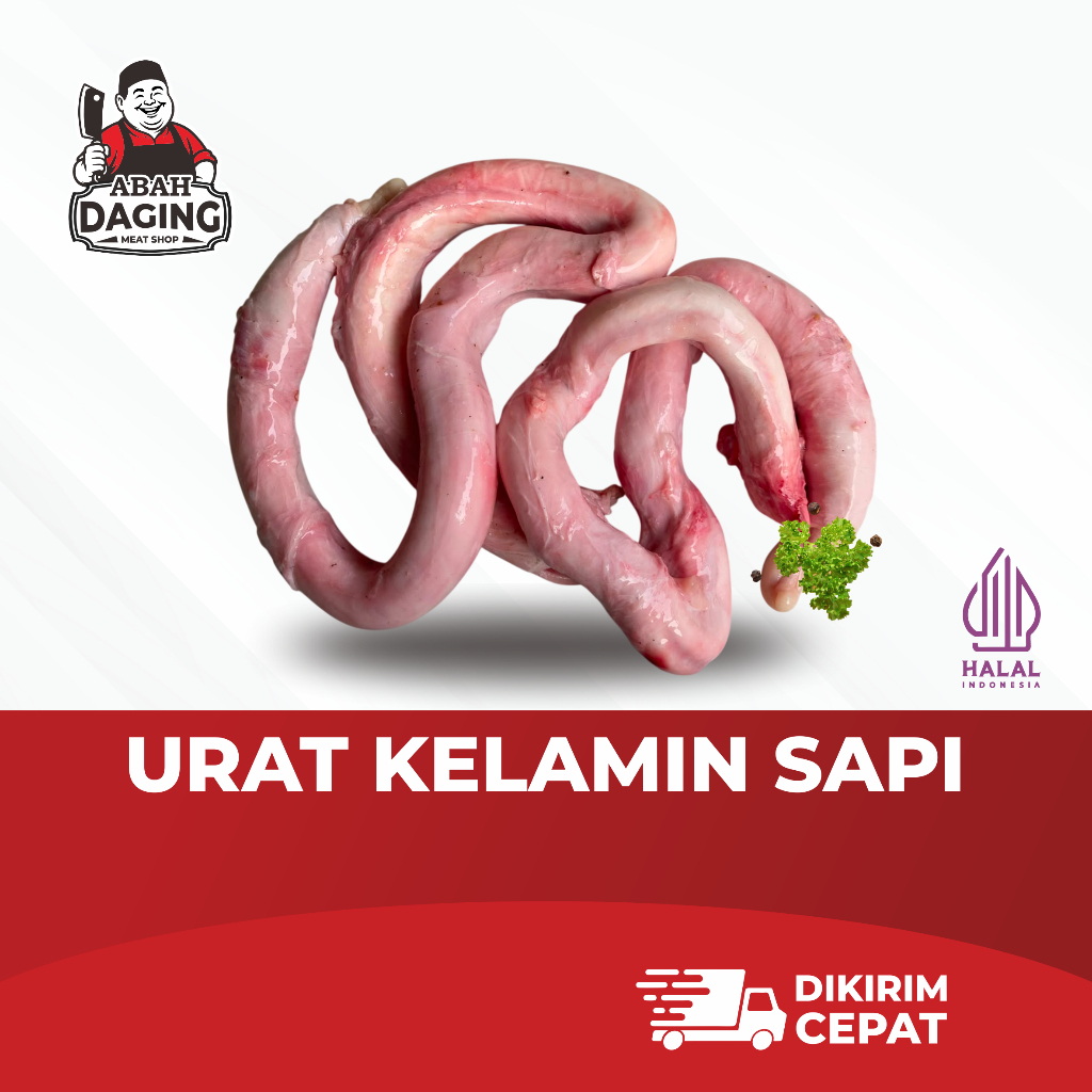 Urat Kelamin Sapi | Urat Sapi | Abah daging sapi