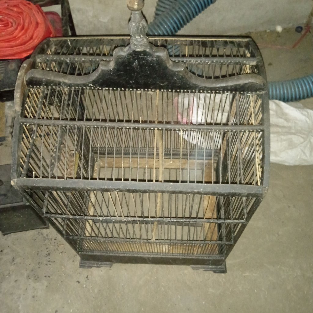 KURUNGAN BURUNG BESAR BEKAS SECOUND