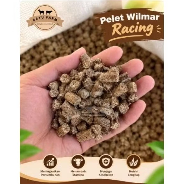 PROMO Pelet Wilmar Racing -pakan kering penggemukan sapi dan kambing kemasan 50kg