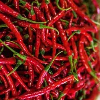 cabe merah 1kg