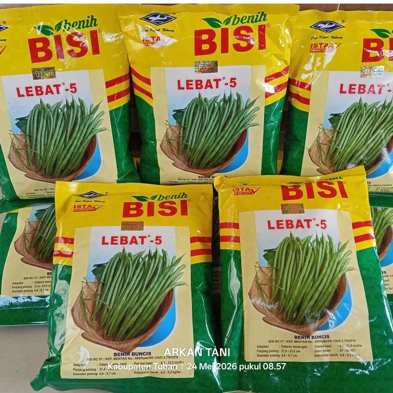 BENIH BUNCIS LEBAT - 5 500 GRAM - CAP KAPAL TERBANG