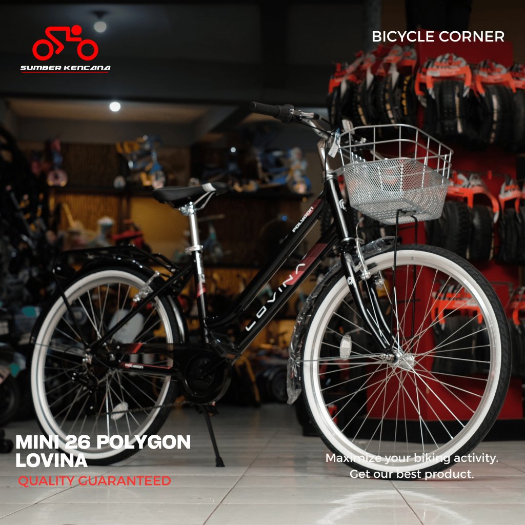 SEPEDA CTB POLYGON 26 LOVINA