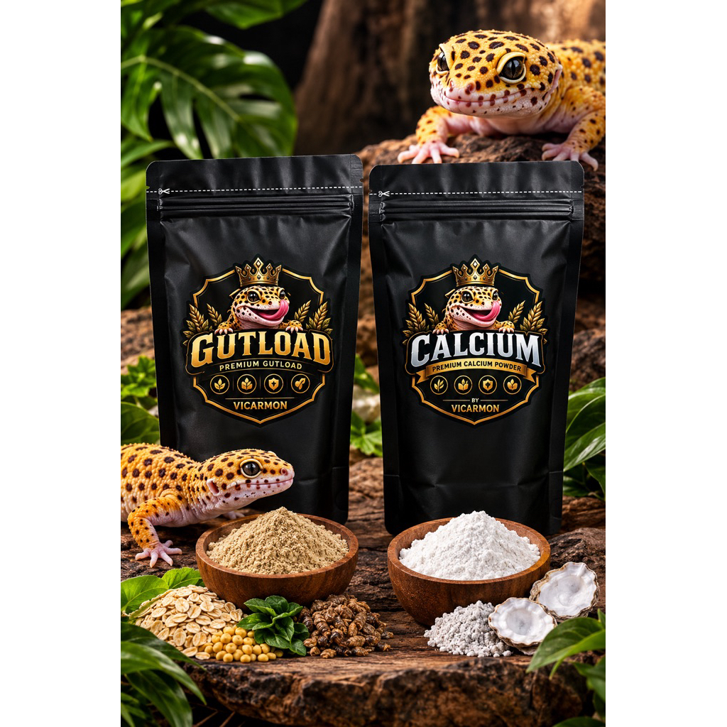 gutload dan calcium leopard gecko,reptile