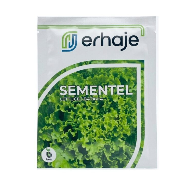 Benih Bibit Selada Sementel 1000 Biji Bejo Batavia Lettuce Hidroponik / Benih Selada Bejo Sementel