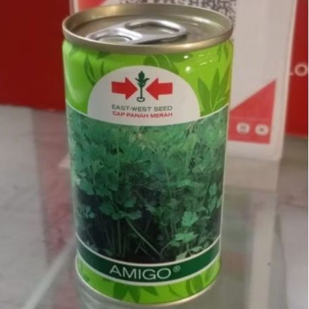 Benih Seledri Amigo 50gr