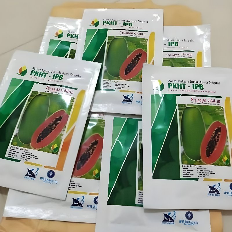 BENIH PEPAYA CALINA CALIFORNIA IPB PKHT IPB original