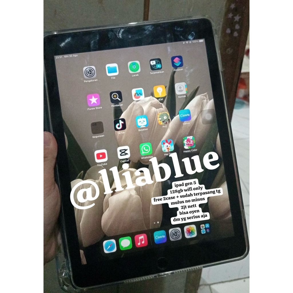 iPad Gen 5 128GB WiFi Only dengan 2 Case