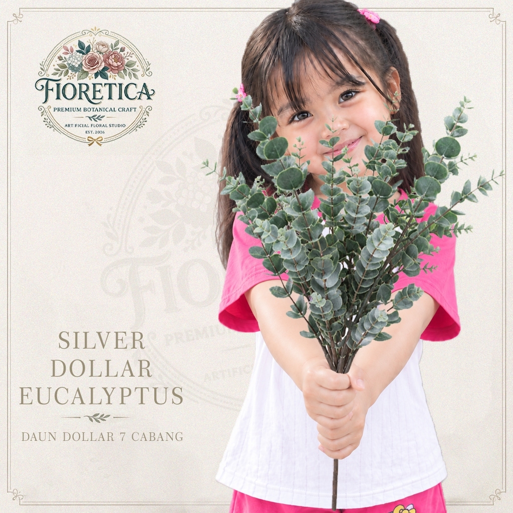 FIORETICA Daun Dollar 7 cabang / Silver Dollar Eucalyptus