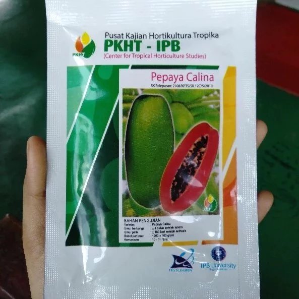 BENIH PEPAYA CALINA CALIFORNIA IPB ISI 250 butir PKHT IPB original