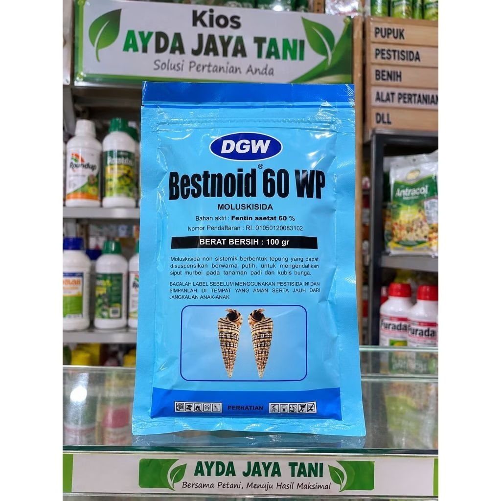 bestnoid 60 wp - 100gr