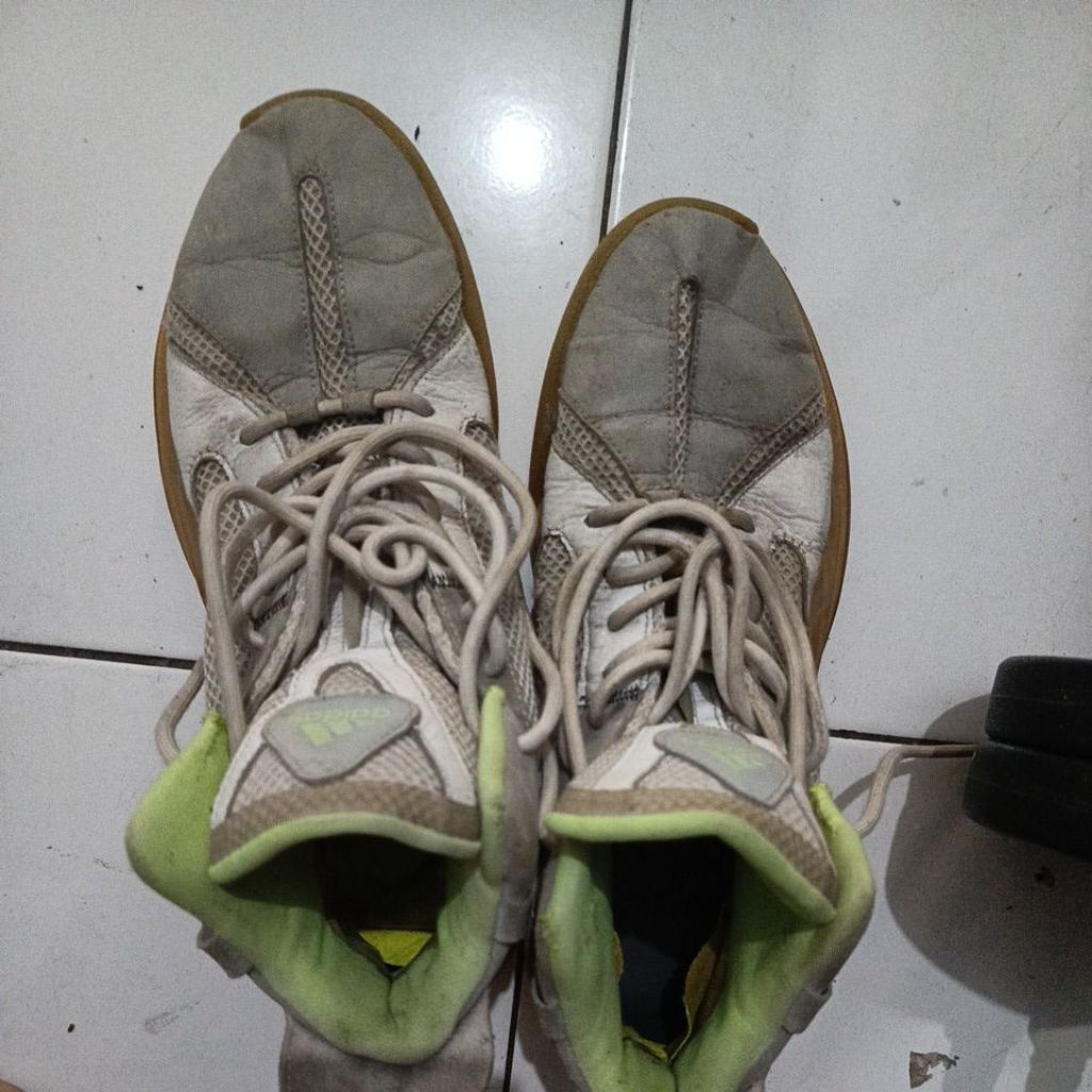 sepatu basket posterize jumbo size 46,5 insole 30,5cm