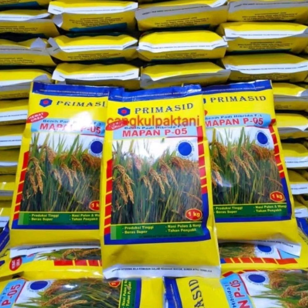 Benih Padi Mapan P 05 1kg kualitas Unggul