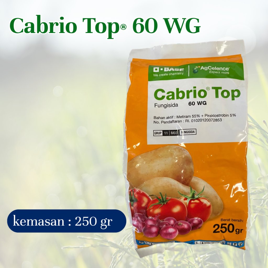 FUNGISIDA Cabrio Top 60WG 250gram Fungisida Kontak Dan Sistemik