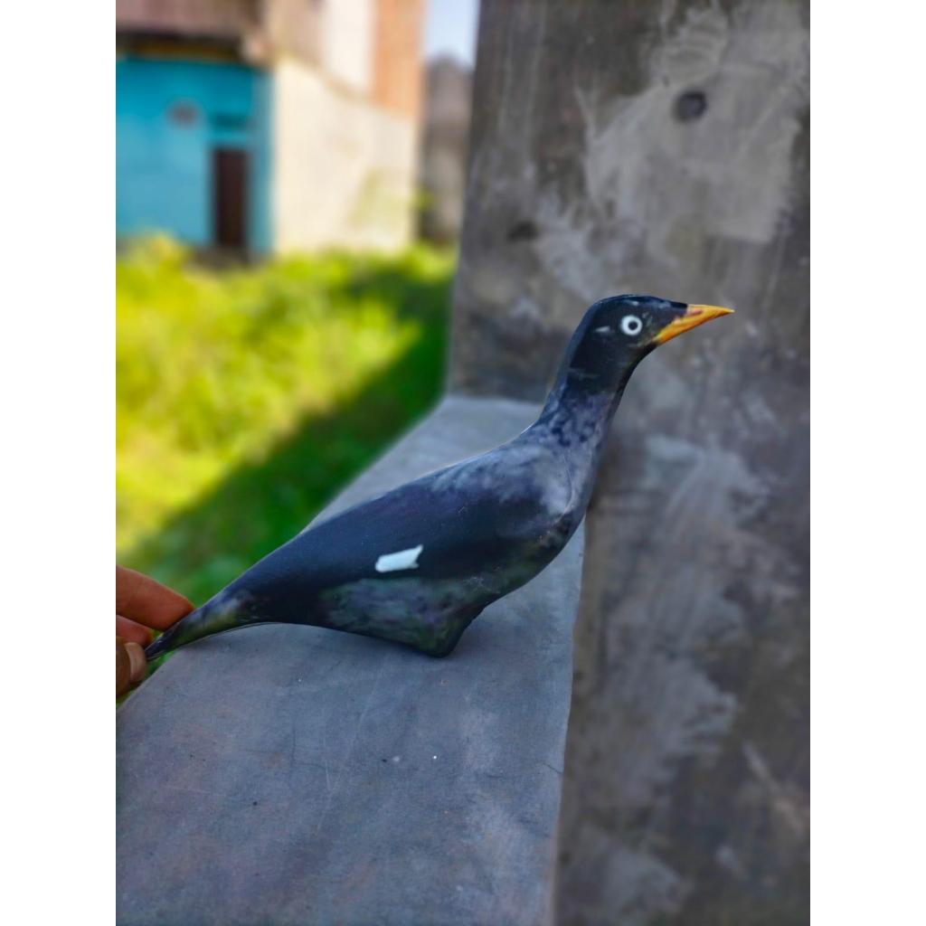 PATUNG JONTROT BURUNG JALAK KEBO - JONTROT BURUNG JALAK KEBO MIRIP ASLI