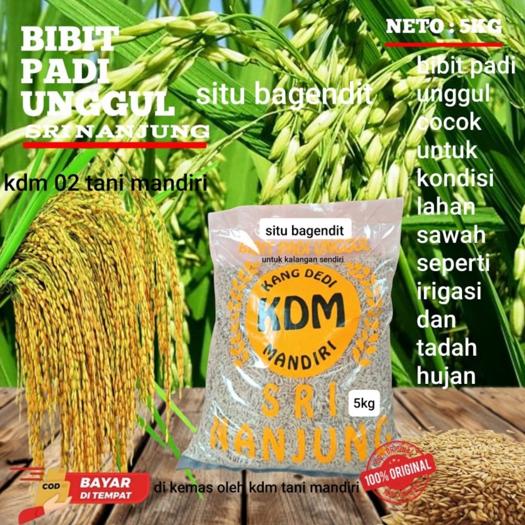 BENIH PADI SITU BAGENDIT KEMASAN 5KG BIBIT SUPER UNGGUL
