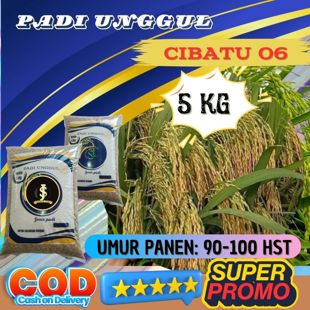 Benih padi unggul cibatu 06 original kemasan 5kg Berkualitas / Anti Roboh / Anti Hama - SRI JAYA FAR