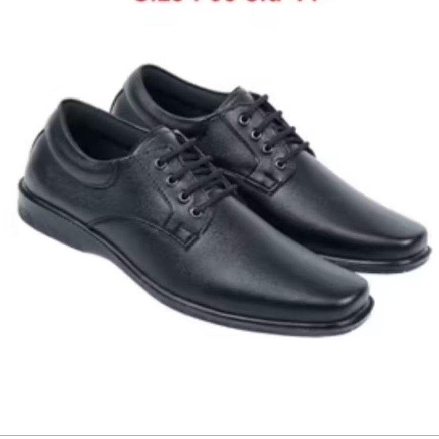 ZEINTIN PANTOFEL PRIA