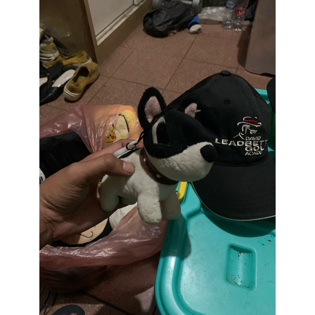 GANCI BONEKA PANCOAT DOG OFFICIAL