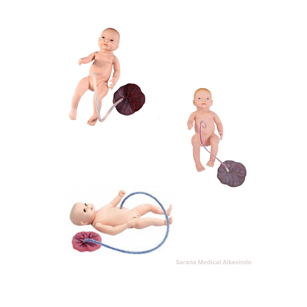 Manekin/Manikin/Alat Peraga/Phantom/Manekin Model Perawatan Tali Pusat dan Plasenta Neonatal Tingkat