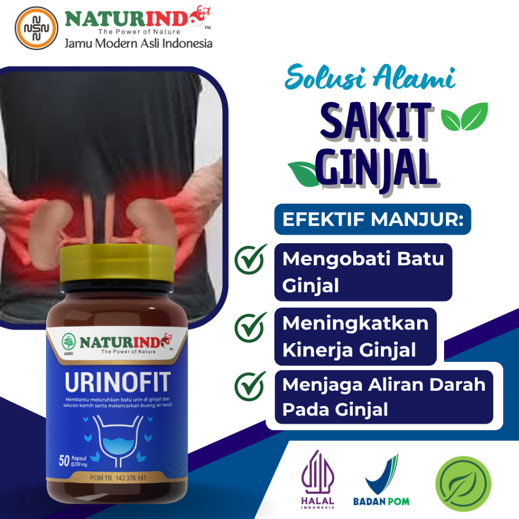 Obat Herbal Batu Ginjal Sakit Pinggang Urinofit Naturindo  Obat Anyang Anyangen Kencing Beser Nanah 