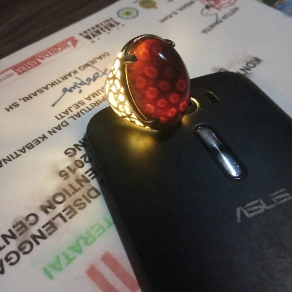 batu akik teratai hitam langka juara di palembang