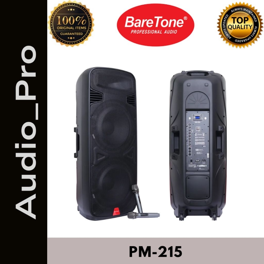 SPEAKER PORTABLE BARETONE PM-215 15INCH DOUBLE