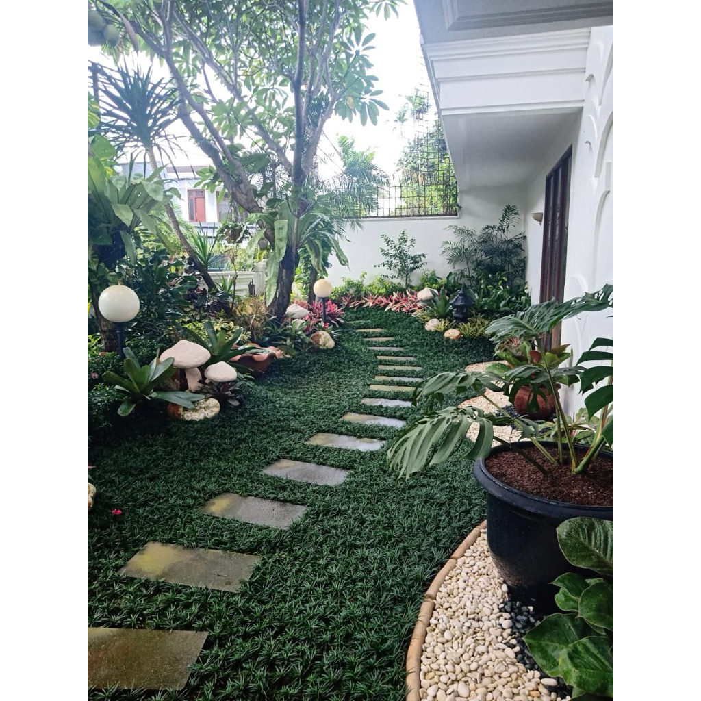 jasa taman pembuatan taman minimalis