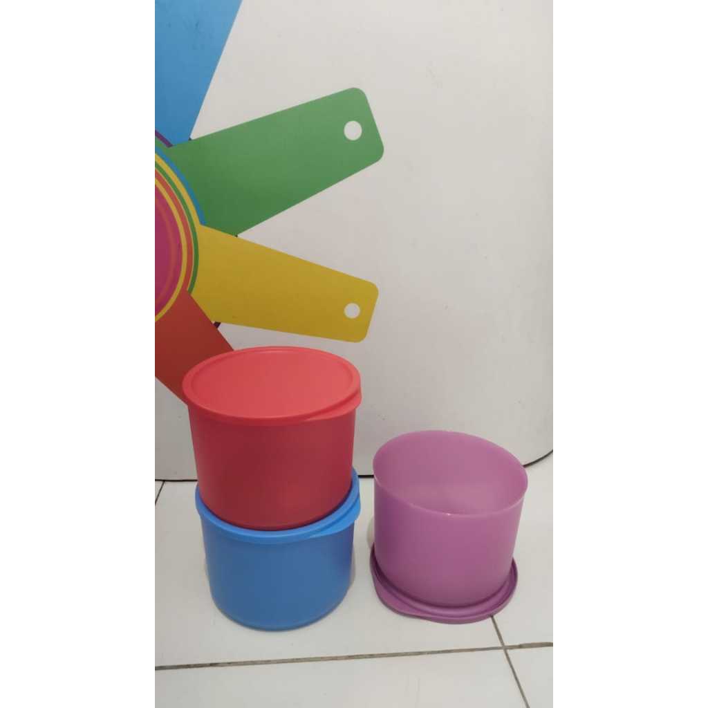 Summer Fresh Large Tupperware