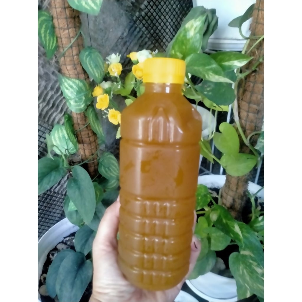 ES SINOM / KUNYIT ASEM GULA ASLI((500ml))
