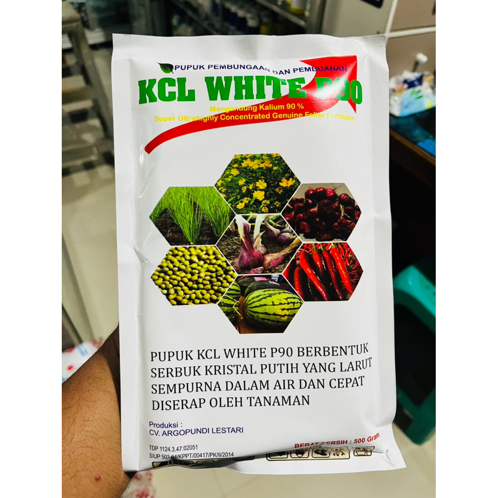 Pupuk Kcl white kcl 90% original 500gram
