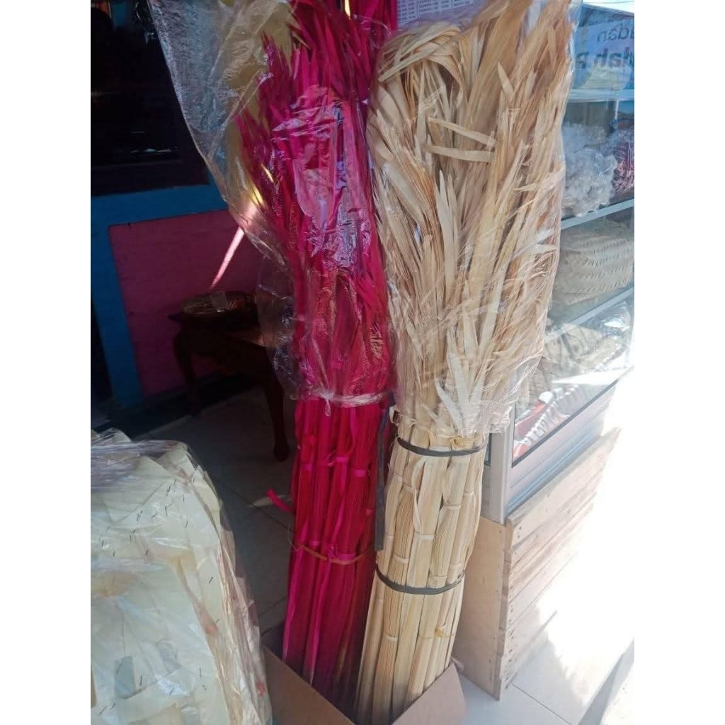 busung ibung sulewesi