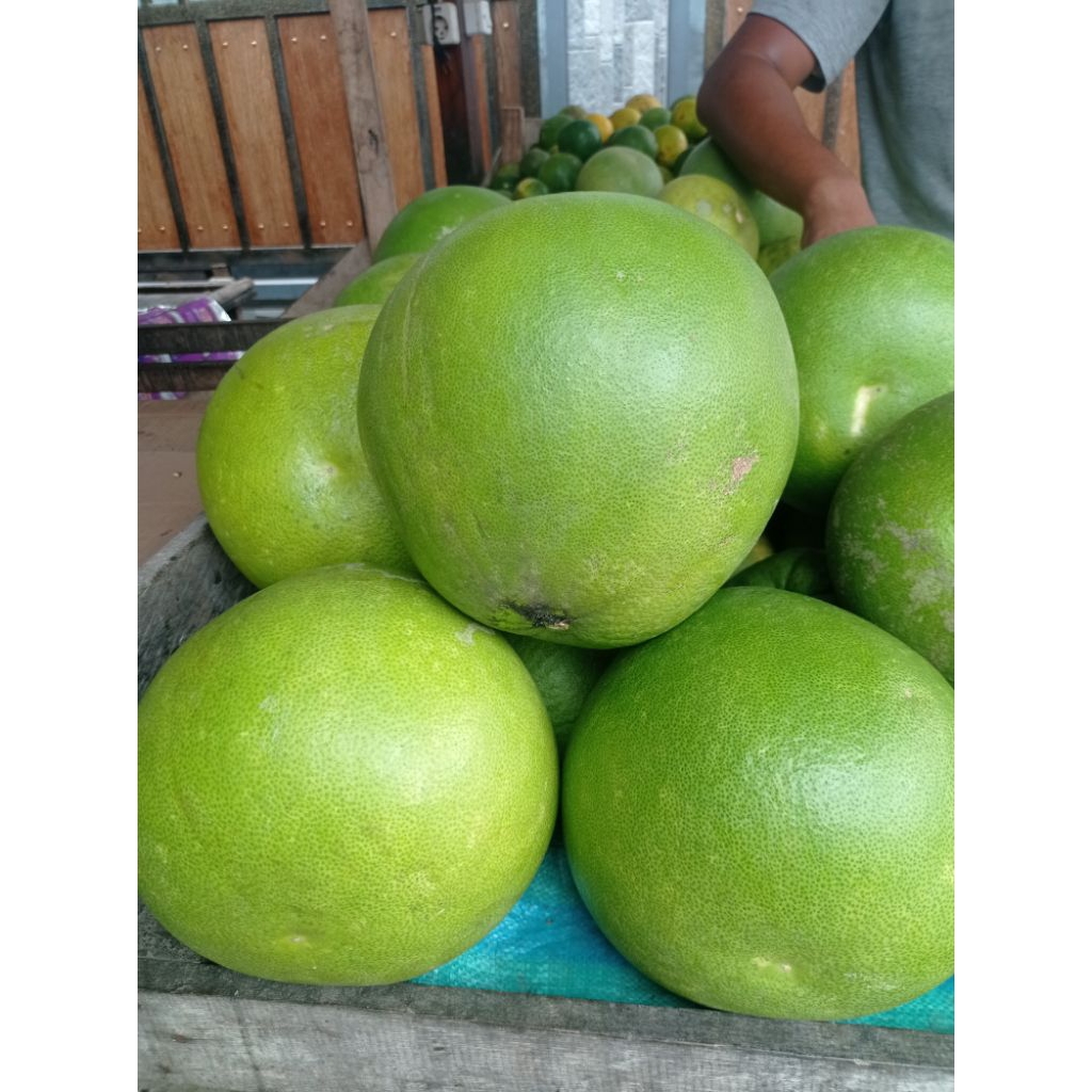 Jeruk Bali / Jeruk Bali Termurah/ Jeruk Bali Sragen berat 2 kg