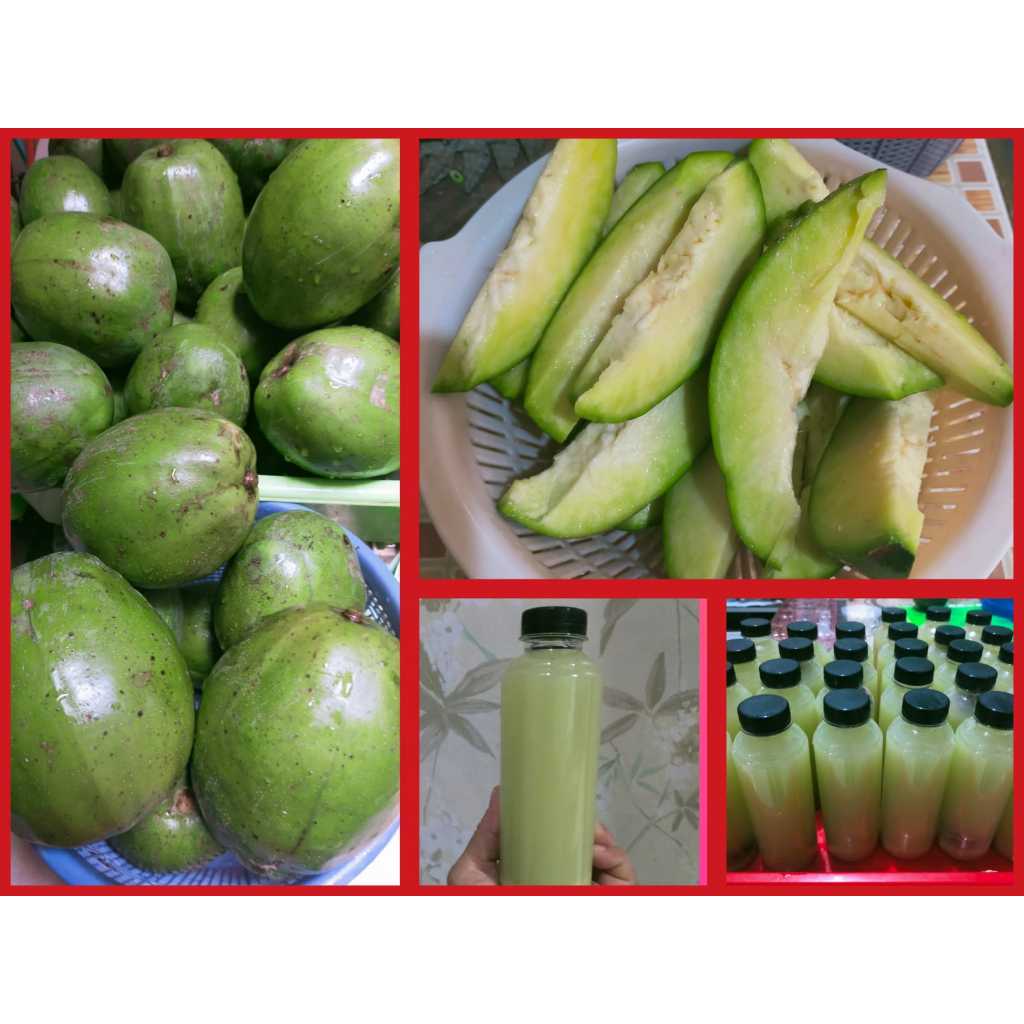 Jus kedondong Segar Dengan Kiamboy Sari Kedondong Tanpa Gula